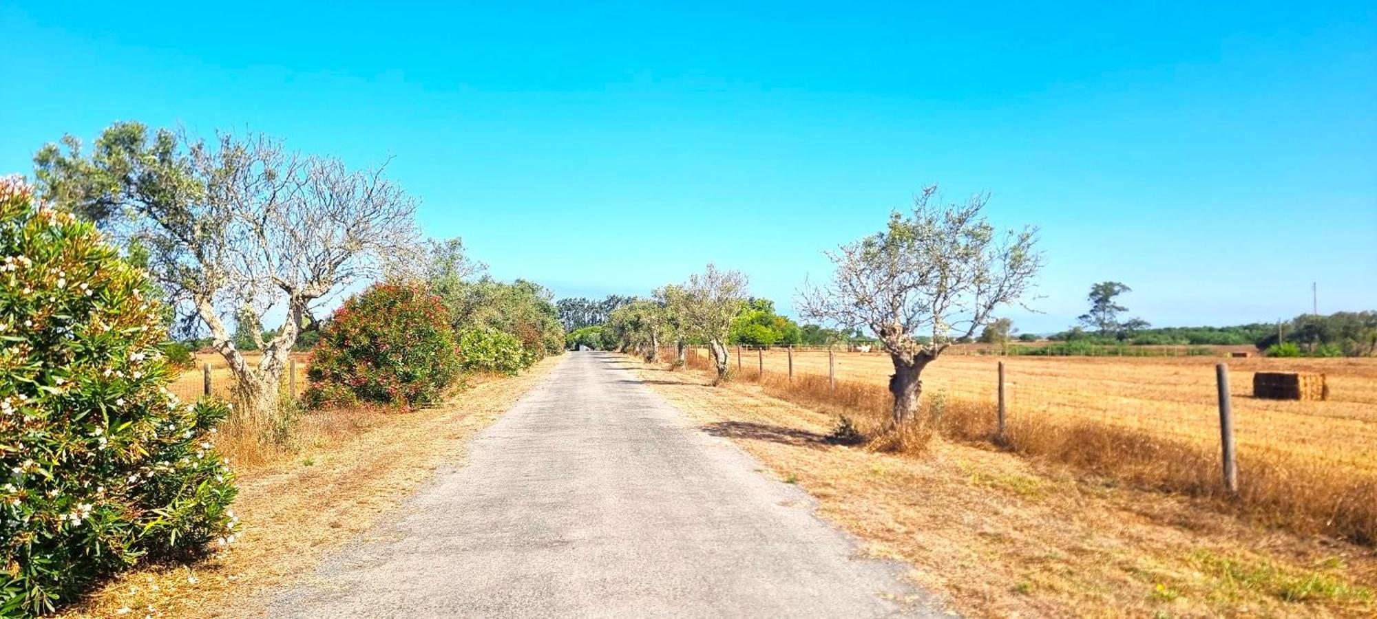 Herdade Moita Mar - Country & Sea Vila Nova de Milfontes Exterior photo